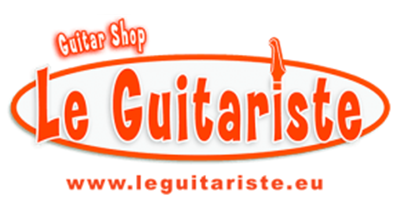 le guitariste